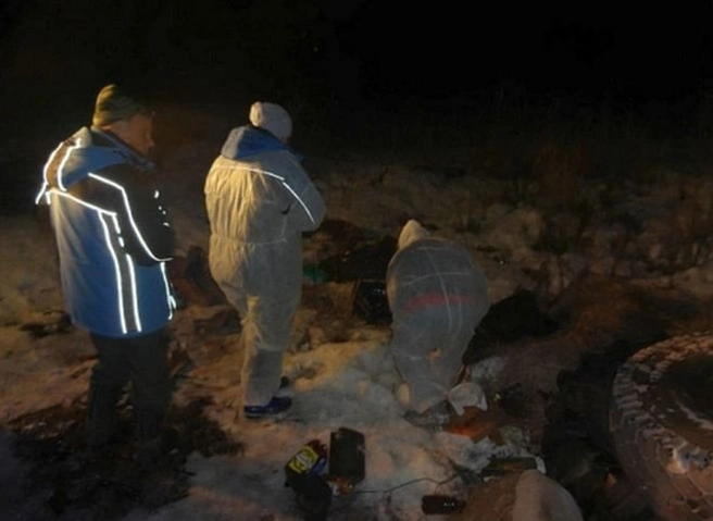 Под Рязанью обнаружены трупы кабанов, козлят и волка | ya62.ru