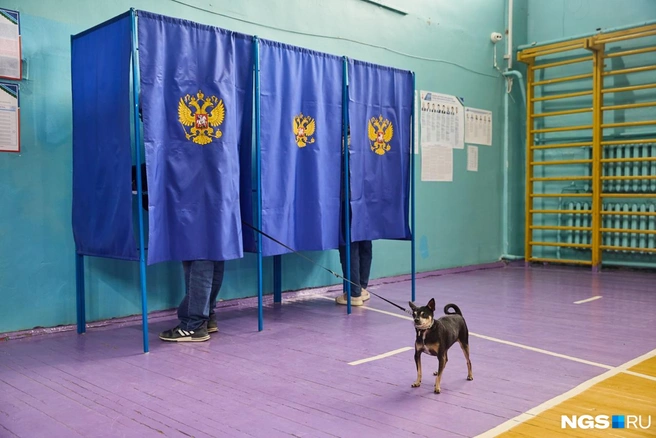 Некоторые совмещали прогулку с собакой вместе с выборами | Источник: Александр Ощепков / NGS.RU