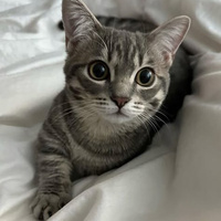 Аватарка Lady24