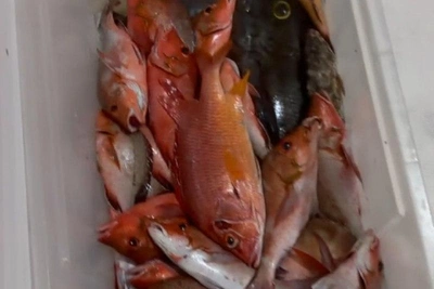 Дубцова показала улов с Мальдивских островов