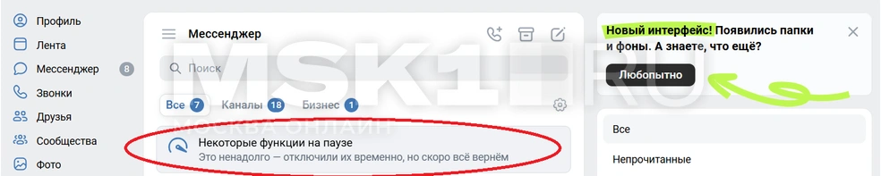 Часть пользователей заметила строчку «Некоторые функции на паузе» при использовании веб-версии | Источник: Vk.com