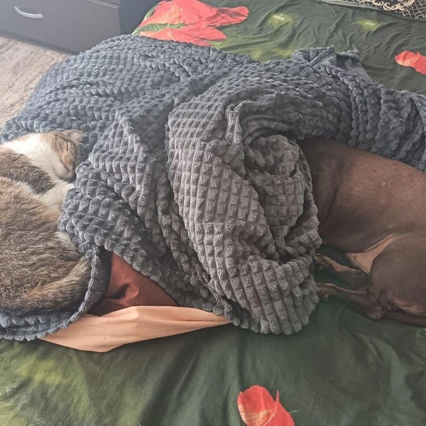 Источник: читатель НГС