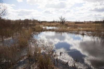 Прогноз паводка в Алтайском крае: две волны