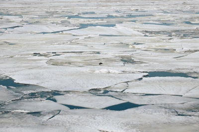 Ледоход на Томи вошел в пределы Томской области