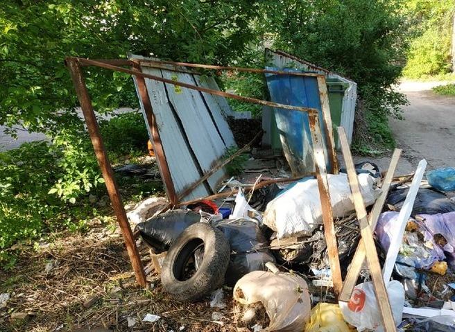 Рязанцы рассказали об ужасном состоянии мусорной площадки на улице Шевченко | ya62.ru