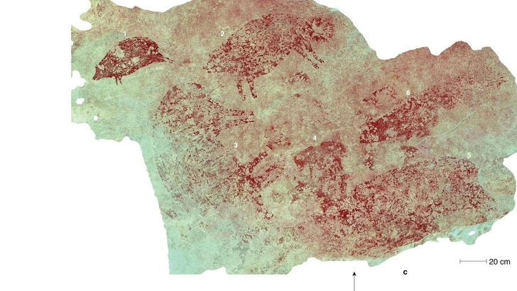 На Сулавеси найден самый древний рисунок с сюжетом, его возраст — 51 тысяча лет