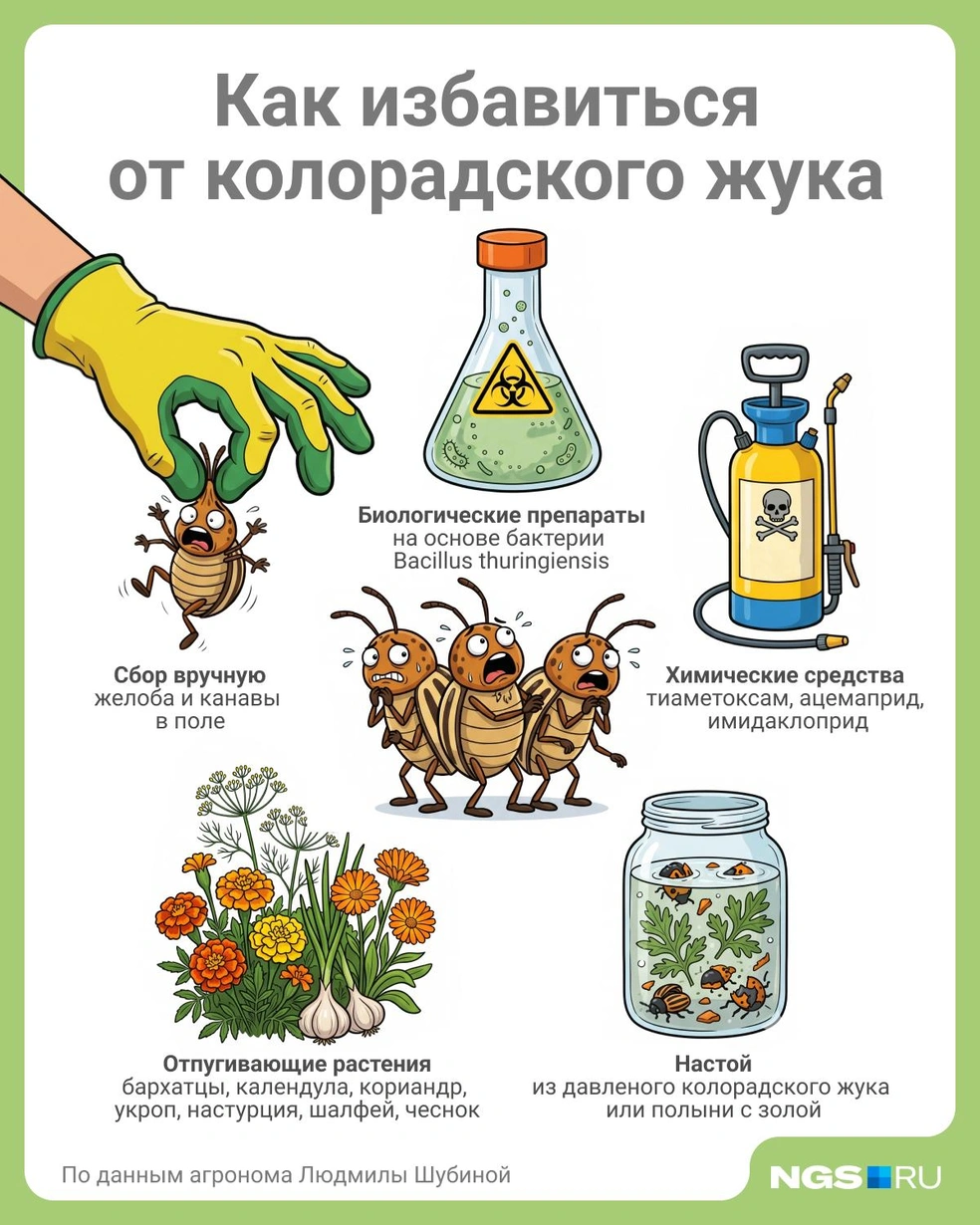 Источник: Юрий Орлов / Городские медиа