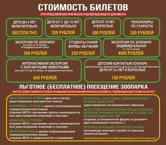Источник: chel_zoo / t.me