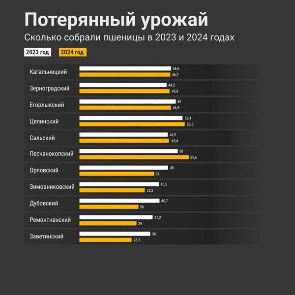 Статистика районов Ростовской области | Источник: Мария Романова / 161.RU