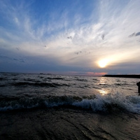 Аватарка Лиса