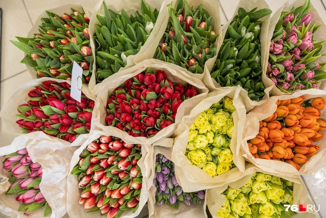 В магазине много тюльпанов на любой вкус и цвет | Источник: Артем Бауман / 76.RU