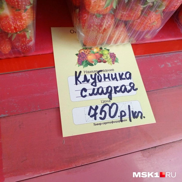 Источник: Полина Громова / MSK1.RU