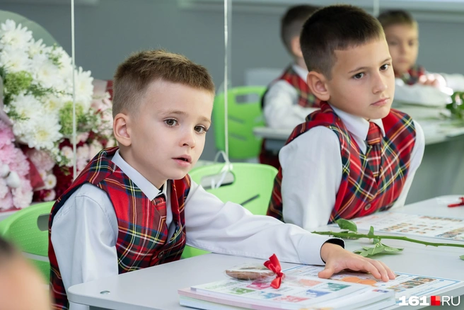 Источник: Евгений Вдовин / 161.RU