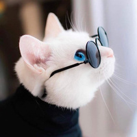 Аватарка Monika