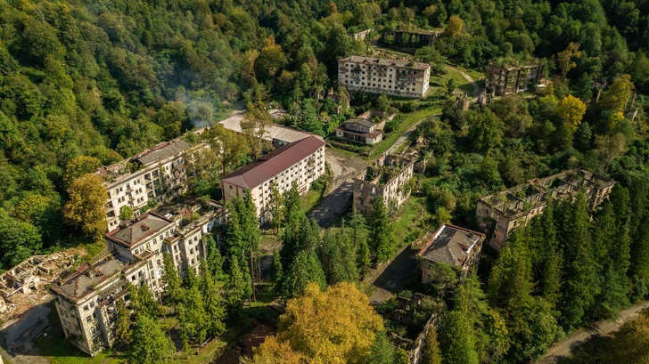 Источник: Barbacuc/Shutterstock/Fotodom.ru