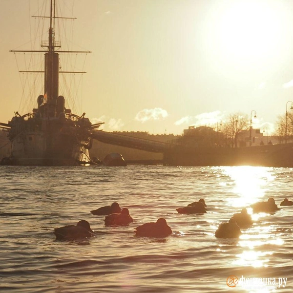 Источник: Михаил Огнев / FONTANKA.RU