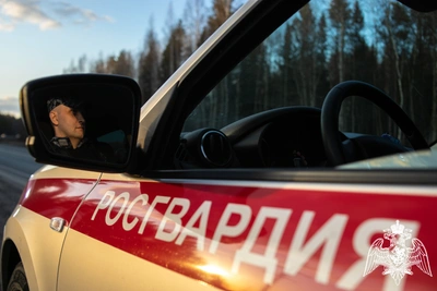 В Кирове росгвардейцы задержали участников драки в кафе