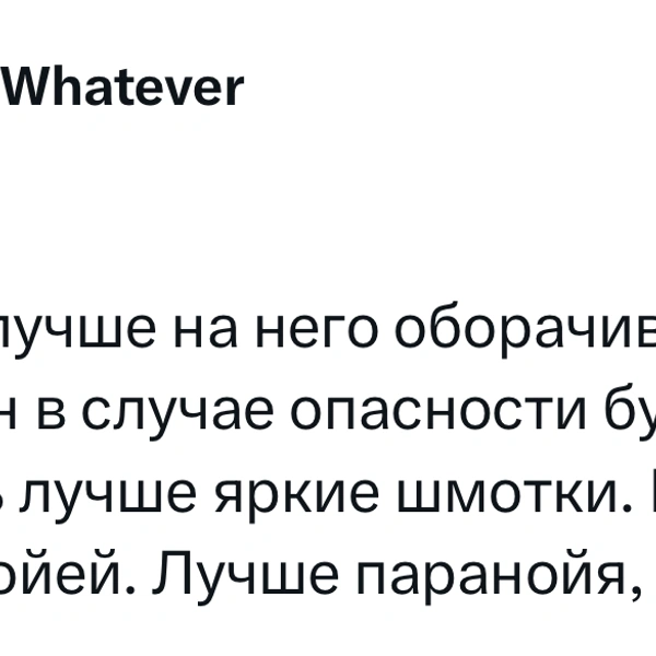 Источник: X (Twitter)