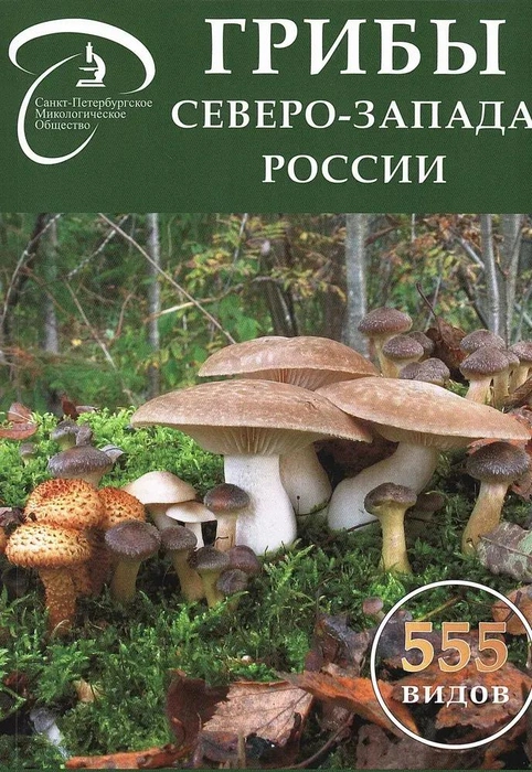 Петербуржцам представят новый справочник по весенним грибам | Источник: обложка книги