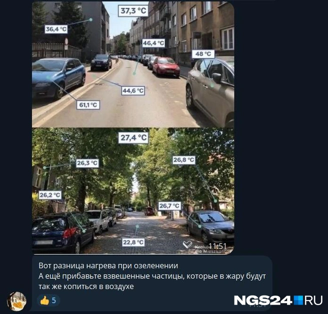 Такое мнение | Источник: NGS24.RU / Telegram