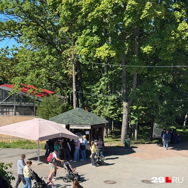 Источник: Валерия Богатырёва / 29.RU