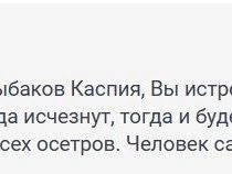 Источник: 161.RU