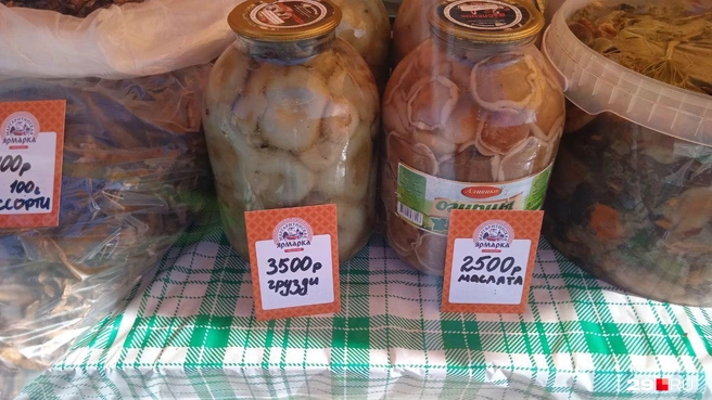 Источник: Юрий Скородумов / 29.RU