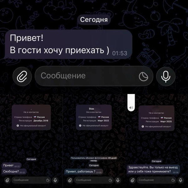 Источник: «Анонимный канал Шариповой» / T.me