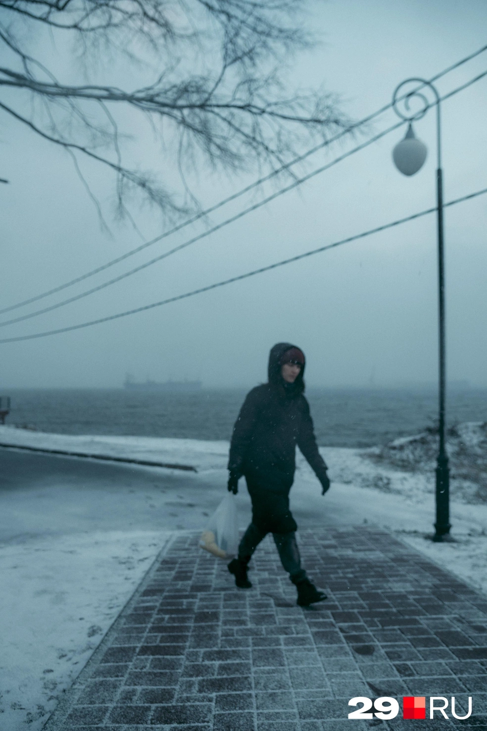 Источник: Иван Митюшёв / 29.RU 