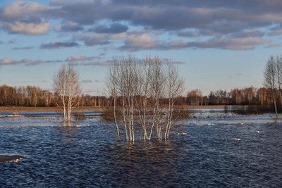 Более 150 домов затоплены из-за паводка на Алтае