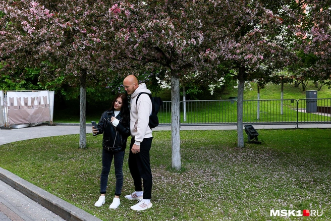У цветущих яблонь все хотят сфотографироваться, пока не поздно | Источник: Артем Устюжанин / MSK1.RU