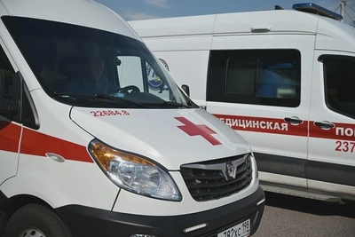 Спасатели эвакуировали укушенного змеей мужчину в Приморье