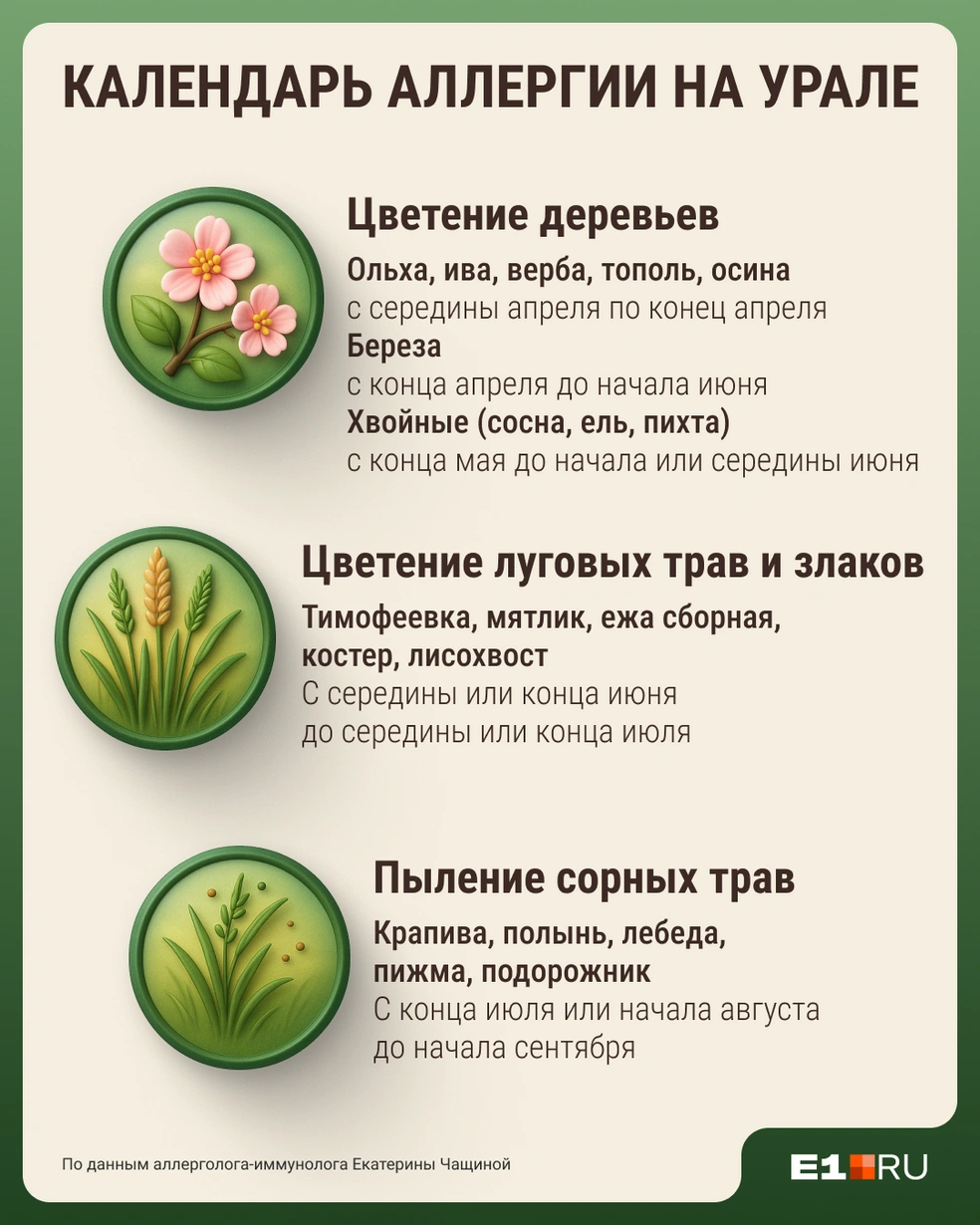 Сохраните актуальный календарь цветения на Урале, чтобы заранее начать принимать лекарства от аллергии | Источник: Филипп Сапегин / E1.RU