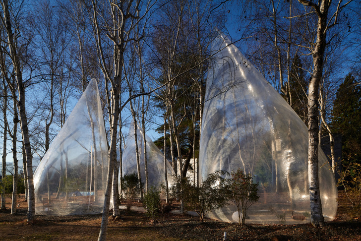 Прозрачные палатки-«капли» в японском лесу