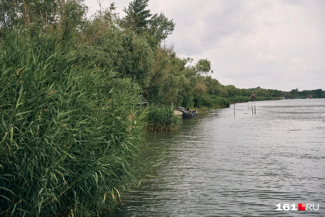 Источник: Артем Марьенко / 161.RU