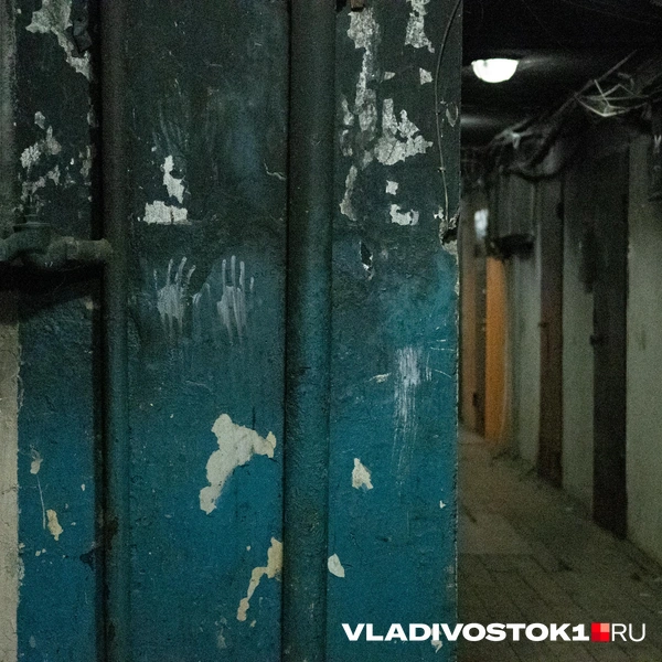 Источник: Елена Буйвол / VLADIVOSTOK1.RU
