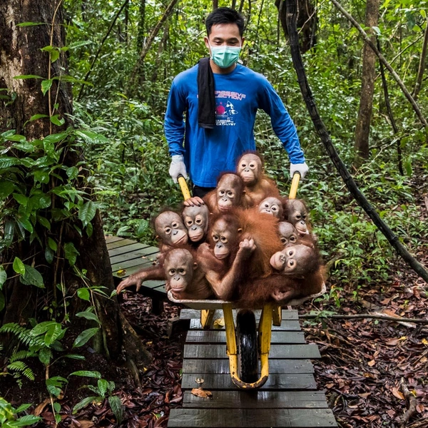 Источник: Joan de la Malla / European Wildlife Photographer of the Year 2019