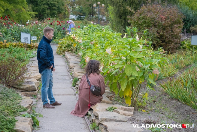 Источник: Елена Буйвол / VLADIVOSTOK1.RU
