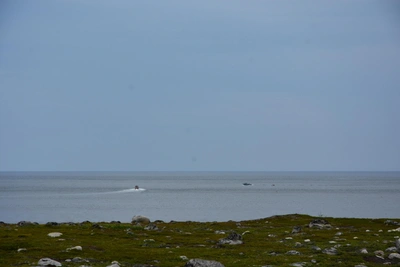 Танкер с курсом на Мурманск задержан США