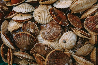 Экспорт рыбы и морепродуктов вырос в 2,5 раза за неделю