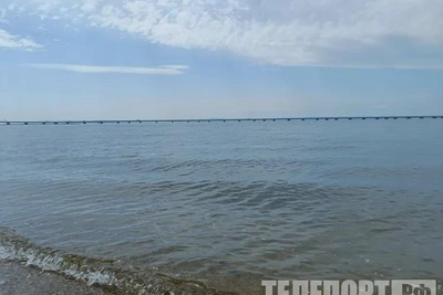 Нашествие рыбы-фугу на Дальнем Востоке: объяснение ученых