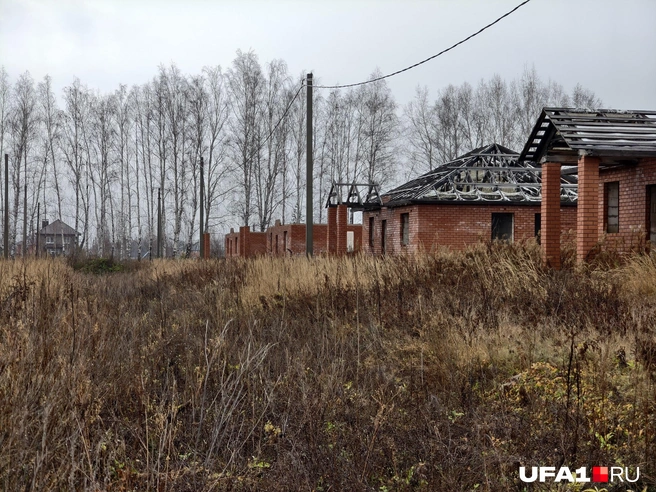 Источник: Булат Салихов / UFA1.RU