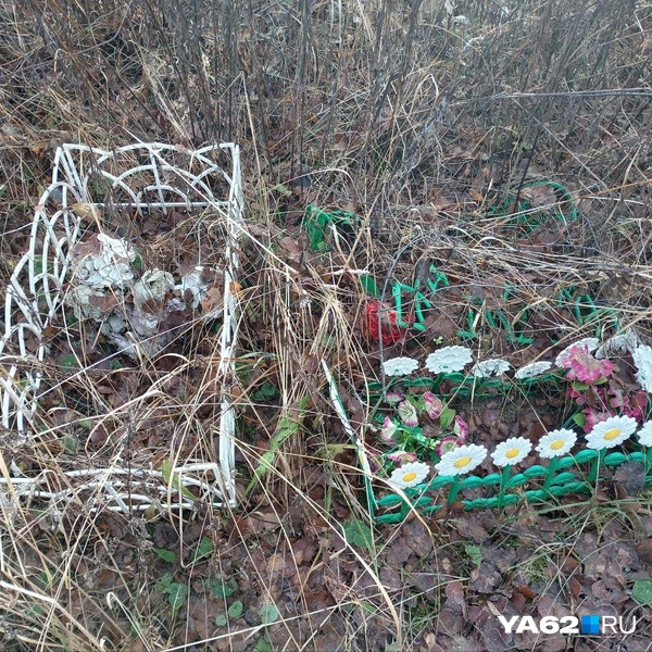 Источник: Анастасия Фокина / YA62.RU