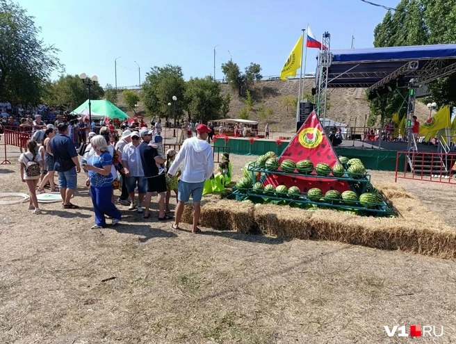 Отбоя сфотографировать ягоду-рекордсмен не было желающих | Источник: Евгений Яковлев