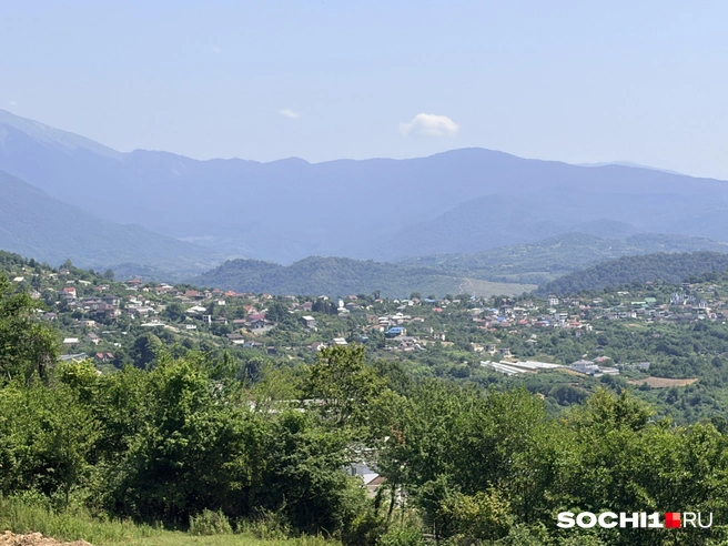 В Сочи успешно отразили атаку беспилотников | Источник: Анна Грицевич / SOCHI1.RU
