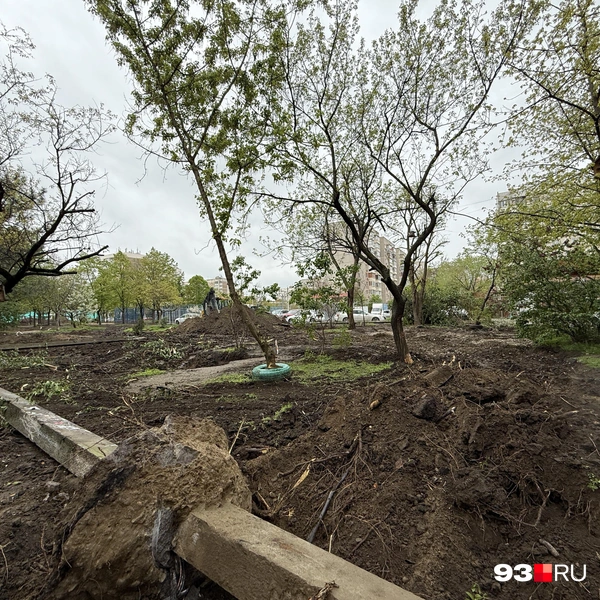 В этой части вырубили дерево | Источник: Валерия Дульская / 93.RU