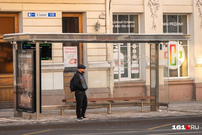 Источник: Евгений Вдовин / 161.RU