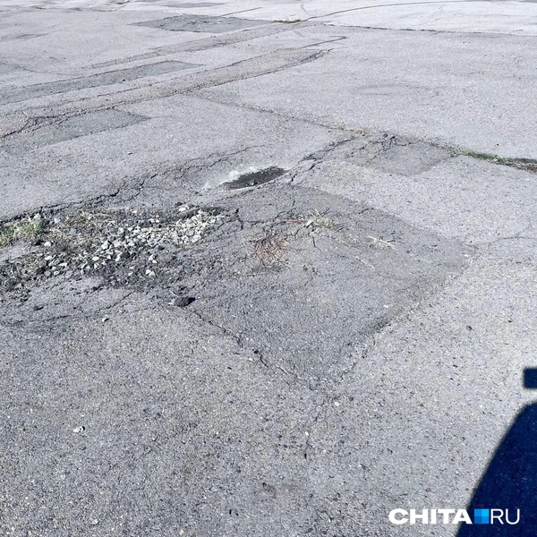Источник: Александр Хамраев / CHITA.RU