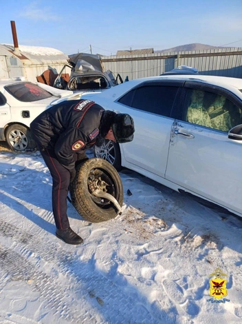 Источник: УМВД по Забайкальскому краю