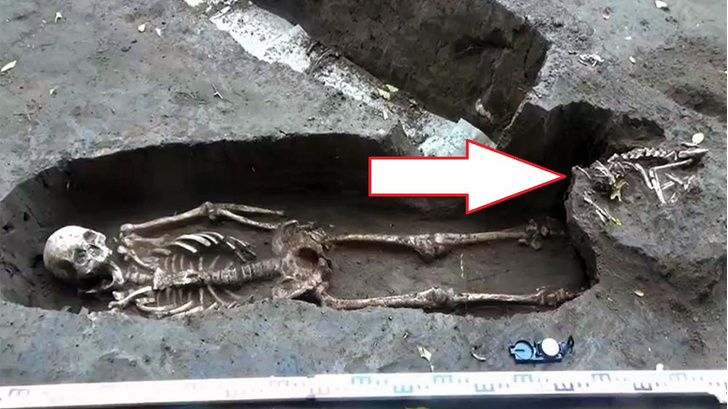 У ног хозяина: на юге России найдено средневековое захоронение человека и кота